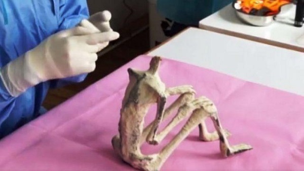 mummie aliena nazca senza testa