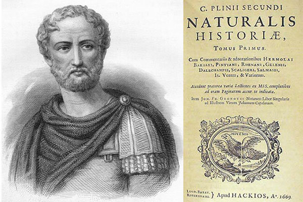 Plinio il Vecchio Naturalis historia