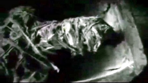 Immagine scoperta mummia aliena2
