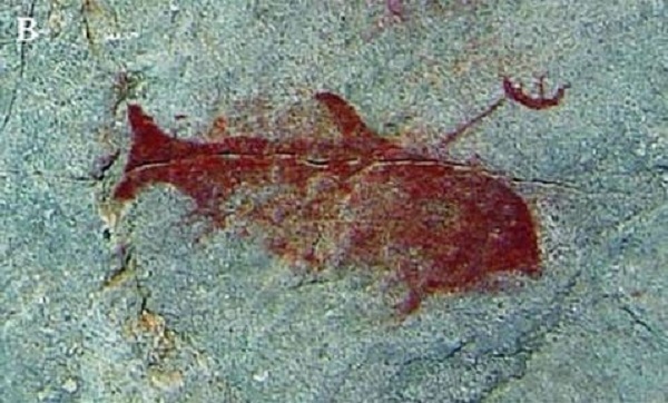 arte antica rupestre balena