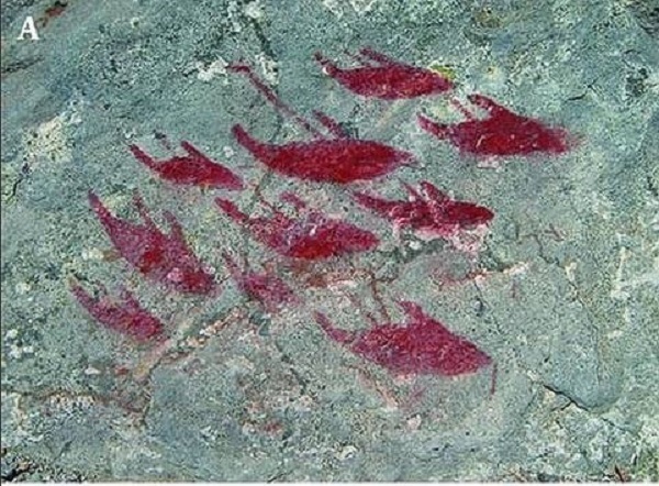 pitture rupestri di balene
