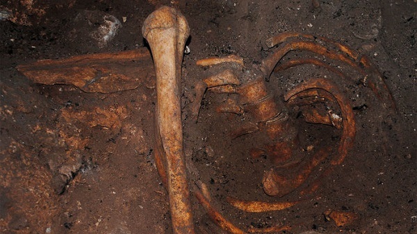 scheletro umano analizzato il più antico dna