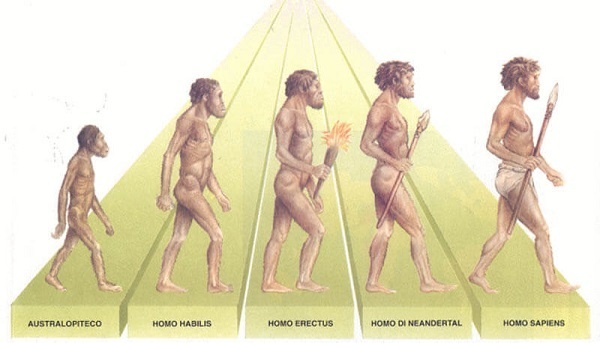 evoluzione-degli essere umani