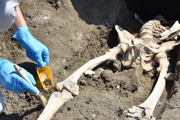  scheletro schiacciato Pompei 2