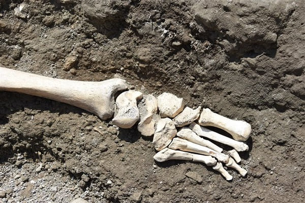 scheletro Pompei 2
