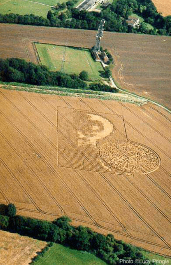 cerchio nel grano